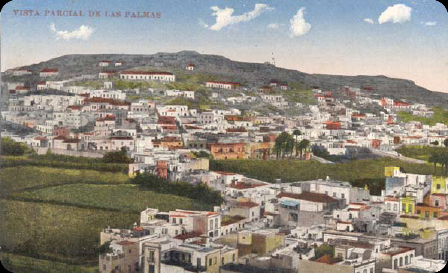 dibujo de la vista aerea de las palmas